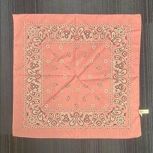 Pink Paisley Bandana